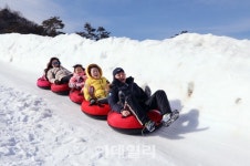 [포토] 평창 눈꽃마을에서 신나는 눈썰매
