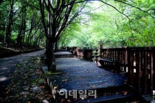 [포토] 서울 전망 좋은곳, 테마산책길 40개소 - 천상병산길 물소리쉼터