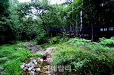 [포토] 서울 전망 좋은곳, 테마산책길 40개소 - 수락벽운계곡길 계곡과 자락길