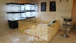 반려견과 공연을…더 언더독 이색 이벤트 눈길