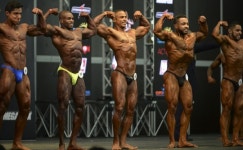 [포토] 큰 몸을 더 크게.. 미스터 올림피아 아마추어 남미대회