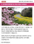[카드뉴스] 3월의 제주, 추천 여행지 TOP 10