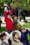산림청 전 국민들에게 81만본 묘목 나눠드려요