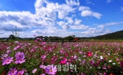 생태자원+이야기 생태테마관광 15곳 선정