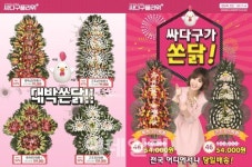 싸다구플라워, 꽃배달 전국 당일배송 위해 1500개 체인망 구축