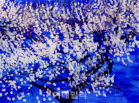 [e갤러리] 가는 봄, 잡을수도 놓을수도…정직성 201728: 梅