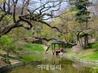 [포토]왕의 정원 창덕궁 후원