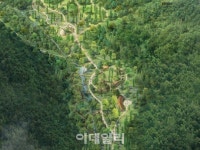 강원랜드 150만평 규모 치유의 숲 만든다