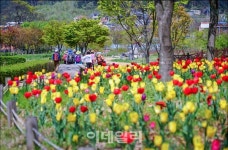 [아이와 걷기좋은길③] 가족의 사랑을 오롯이 느끼는 정읍사 오솔길