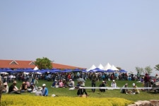 치맥과 함께…KLPGA 교촌 허니 레이디스 오픈