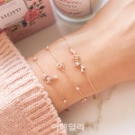 로이드, 러브 인 로즈로 사랑을 전하세요