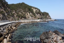 [드라이브①] 해안 비경 품은 환상의 드라이브 ‘강릉 헌화로’