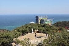 [드라이브①] 해안 비경 품은 환상의 드라이브 ‘강릉 헌화로’