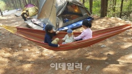 [힐링여행②] 사계절 보약 같은 치유의 숲 산음자연휴양림