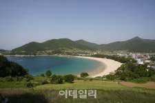 [숲길을 걷다②] 다도해 옆 편백 바다 ‘남해편백자연휴양림’