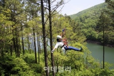 [숲길을 걷자①] 바람에 실려온 향기마저 향긋한 ‘제암산자연휴양림’