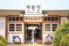 [숲길을 걷자①] 바람에 실려온 향기마저 향긋한 ‘제암산자연휴양림’