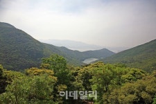 [숲길을 걷자③] 우리나라 최대의 난대림 완도수목원
