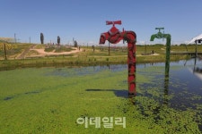 [주말드라이브④] 특별한 매력을 지닌 도로 ‘파주 자유로’