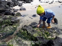 ‘바릇잡고, 반딧불이 만나고, 열기구 타고’ 디스커버 제주
