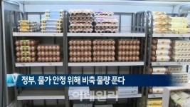 [이데일리N] 정부, 물가 안정 위해 비축 물량 푼다 外