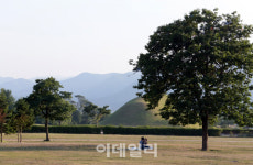 [여행] 못에 비친 야(夜)한 풍경, 천년 신라의 밤에 취하다