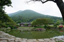 [고택여행②]구름 숲 속 화가의 방 ‘진도 운림산방’ 