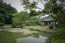 [고택여행②]구름 숲 속 화가의 방 ‘진도 운림산방’ 