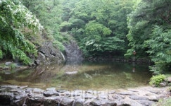 전남 담양의 용소 등 4곳 국가산림문화자산으로 신규 지정