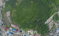 전남 담양의 용소 등 4곳 국가산림문화자산으로 신규 지정