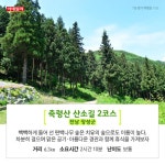 [카드뉴스] “숲속을 걸어요” 7월 추천 걷기 여행길 10선 