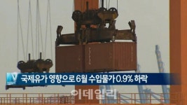 [이데일리N] 국제유가 영향으로 6월 수입물가 0.9% 하락 外