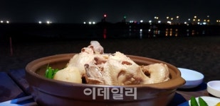 [제주서놀자③] 바다와 계곡에서 몸보신 해봤니?