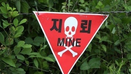 강화에서 北 추정 목함지뢰 발견…軍 