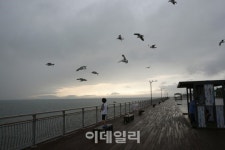 [낭만도시①] 해수 공원에서 만끽하는 도심 바캉스 ‘송도국제도시’