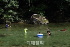 [피서는국내로①] 계곡서 더위잊고, 보양식으로 더위이기고