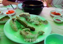 [피서는국내로①] 계곡서 더위잊고, 보양식으로 더위이기고