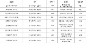 대형사 컨소시엄 연내 2만 5000가구 분양