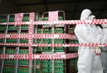 [살충제 계란]어디까지 확산하나..울산·포천·철원産에서도 비펜트린 검출