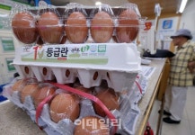 [살충제 계란] 모든 편의점에서 계란 다시 판다...이마트24·미니스톱도 판매 재개