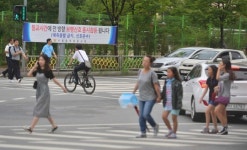 서울지역 초등학교 교차로 건널목…동시 보행신호 시행