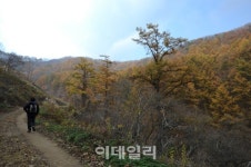 가을 들판과 호수 물그림자를 벗 삼아 걷는다