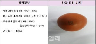 살충제 계란 추가 발견..15058·14제일 먹지 마세요