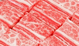 추석 앞두고 한우갈비 가격 급등..유통업체 물량 확보 탓