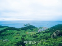 [욜로라이프④] 효리네 민박 손님처럼 제주 속살 탐험하기