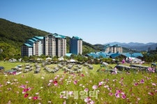 깊어가는 가을, 힐링 하는 법 배워가세요