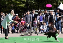 [포토] 양천구, 반려견 문화축제