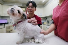 [포토]반려동물의 건강을 위해