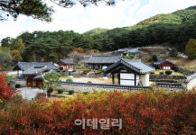 [여행] 옛 철학자 자취 따라…사색의 길을 걷다