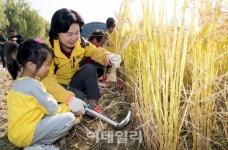 [포토] 양천구, 농촌체험현장